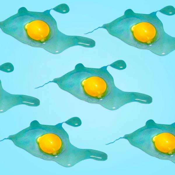 Photograph David Krovblit Raw Eggs on One Eyeland
